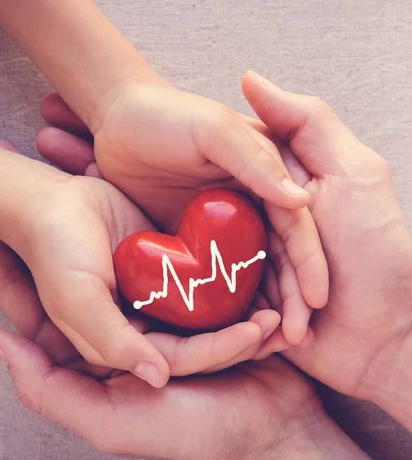 Healthcare in India: North India’s Regional Landscape