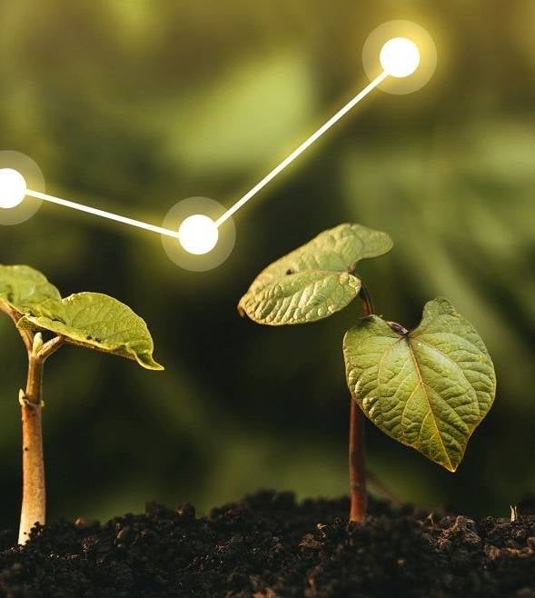 Investment-led productivity, growth in agriculture budget