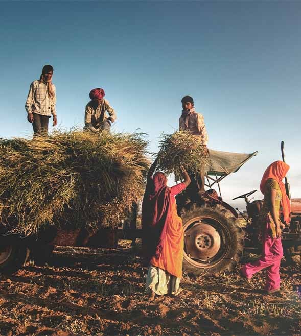 Can scalable partnerships empower rural livelihoods?