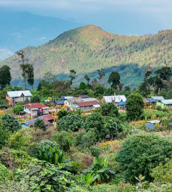 Can rural homestays create sustainable livelihoods for women?