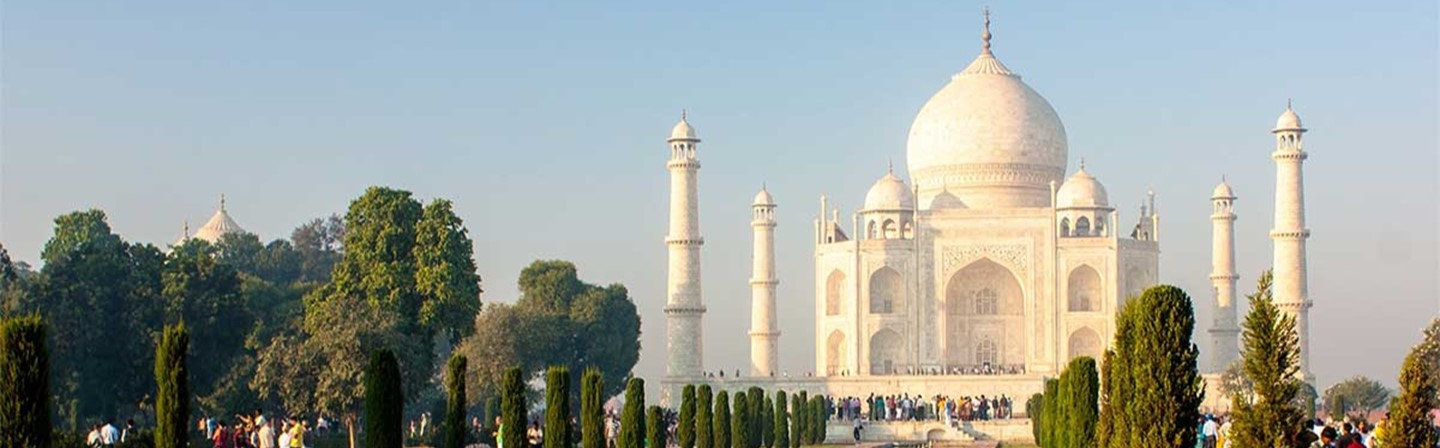 insight featured image