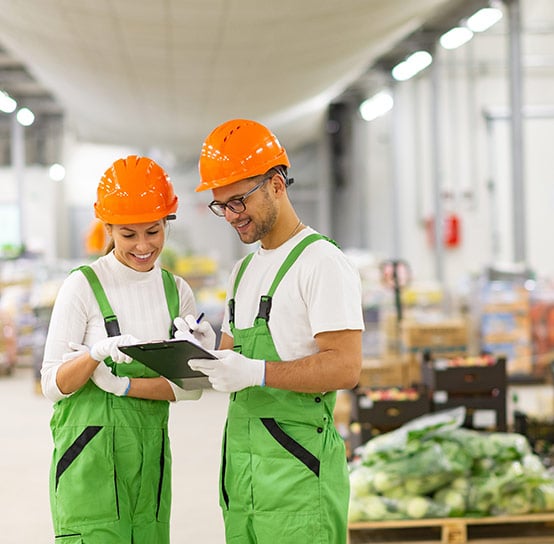 Cold chain dynamics: Mapping India’s logistics transformation