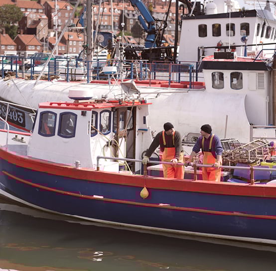 Remission of Duties and Taxes on Exported Products (RoDTEP)