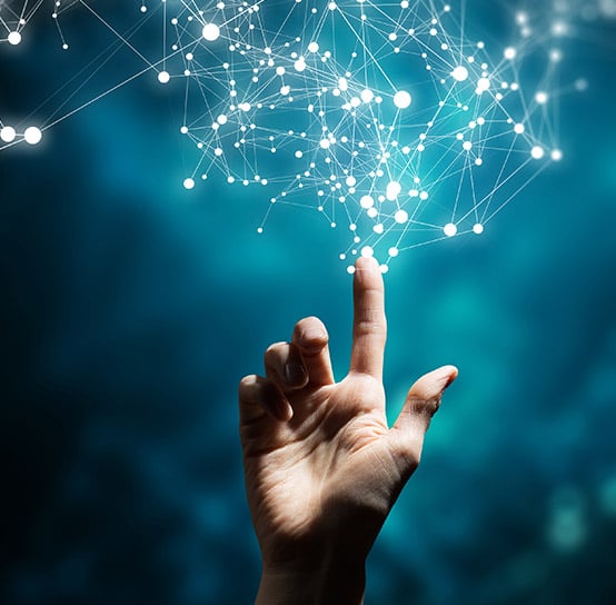 554x544px Website Photographs 662