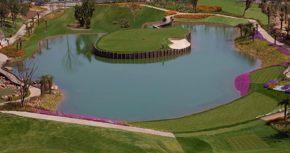 Image gallery block - DLF