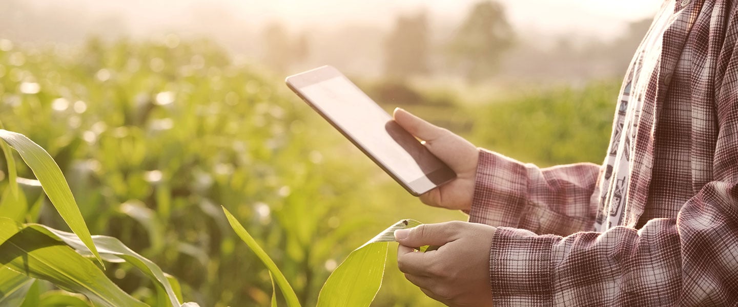 Agripreneur start-ups