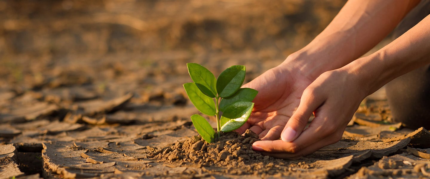 Manual on Intrapreneurship and Management for Farmer Producer Companies