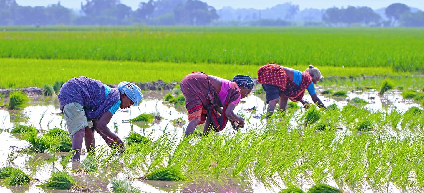 How women-led FPOs are transforming India’s agriculture