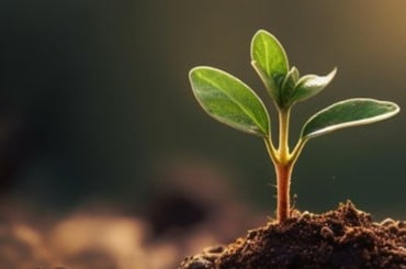 MSME Convention 2024