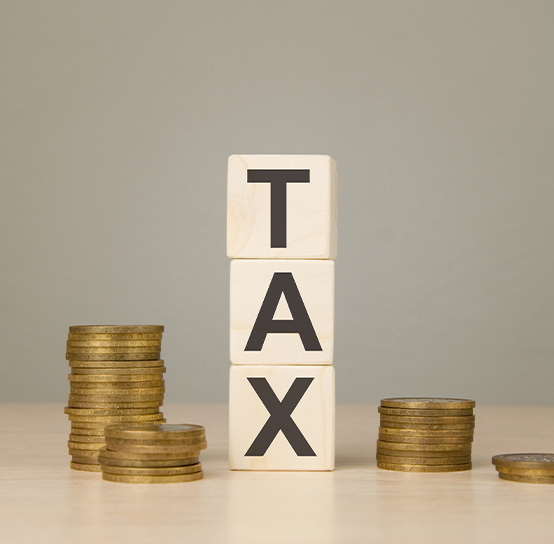 Interim Budget 2024 expectations