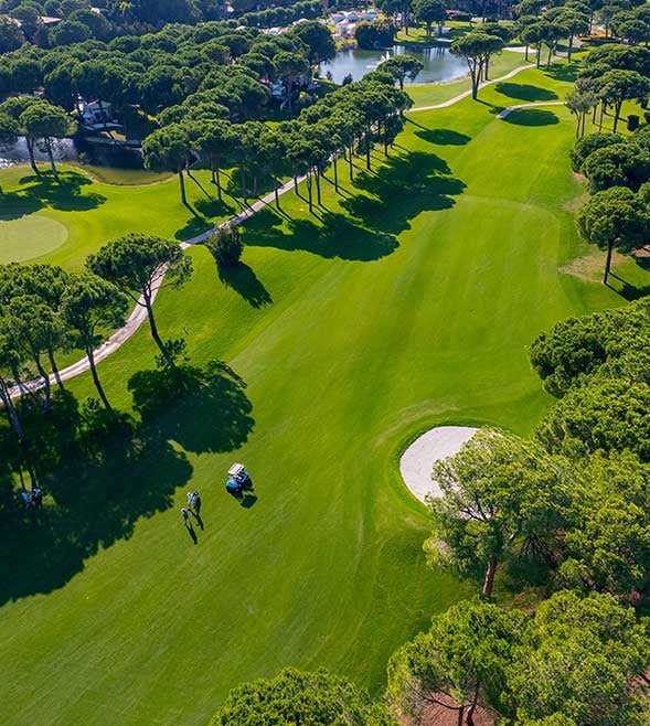 589x658px Hero Banner Adobe Stock 547019345