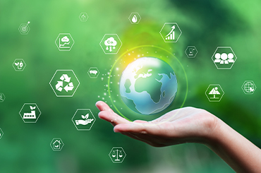 Introduction and adoption of biomass for green steam and heat applications in MSMEs