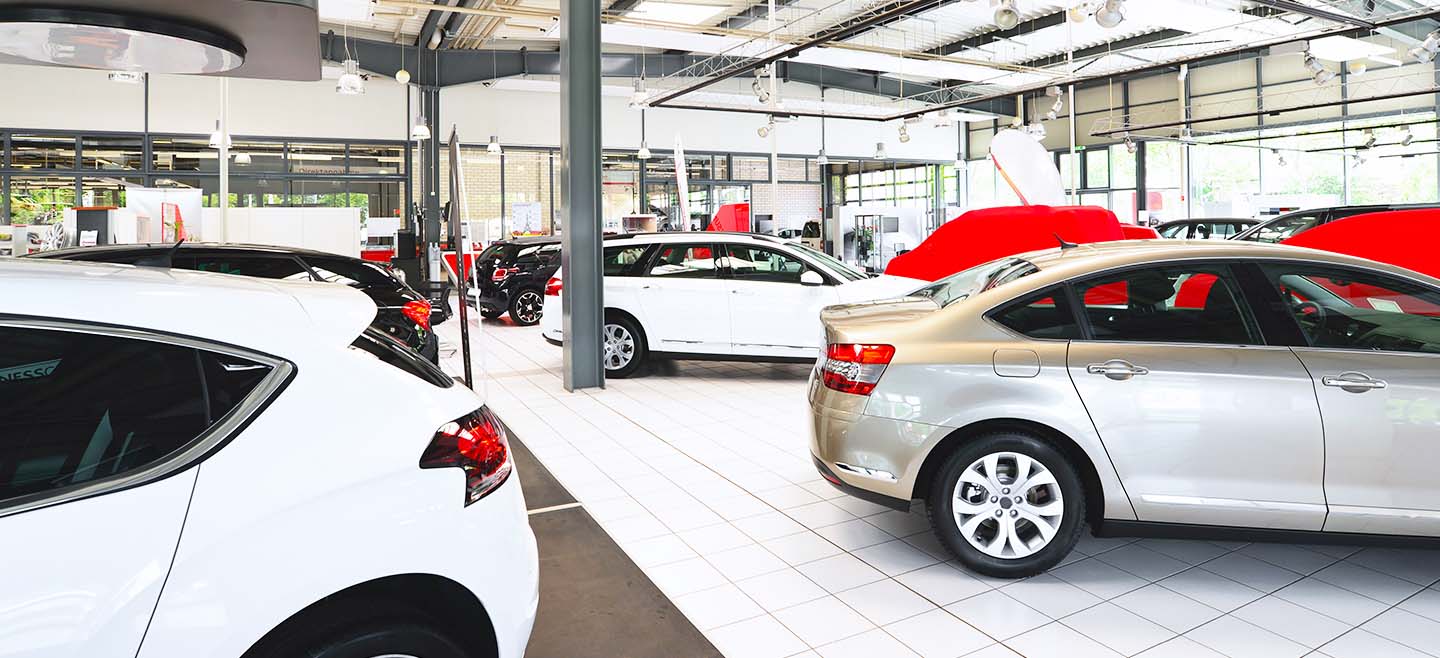 insight featured image