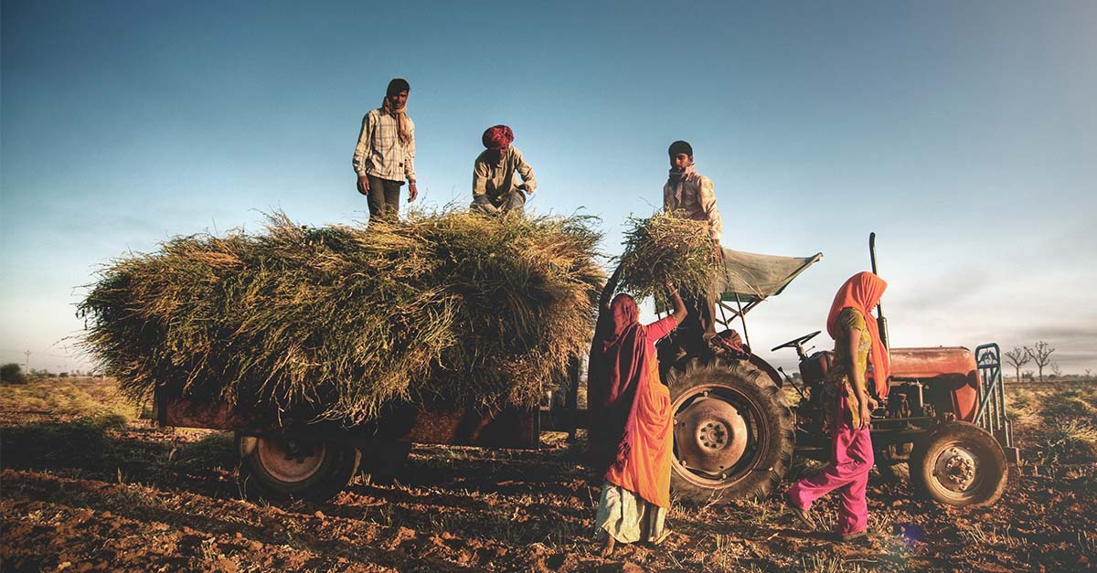 Scalable Partnerships Empowering Rural Livelihoods | Grant Thornton Bharat