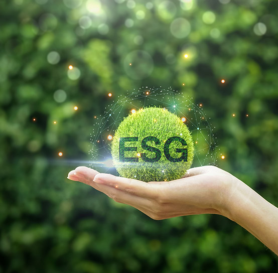Learn more about how our ESG consulting services can help you