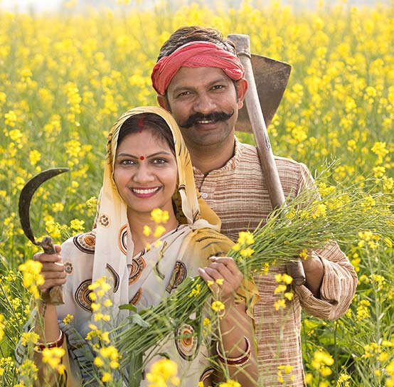 Agriculture and Budget: Immediate compulsions and long-term vision