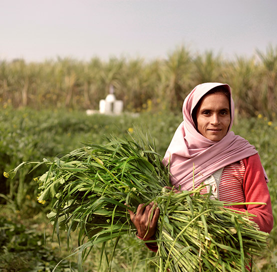 Financial inclusion in rural India