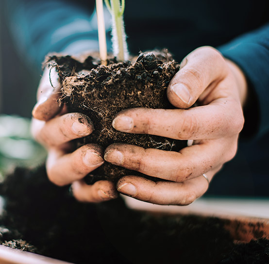 Accelerating Indian agricultural growth: Micro irrigation