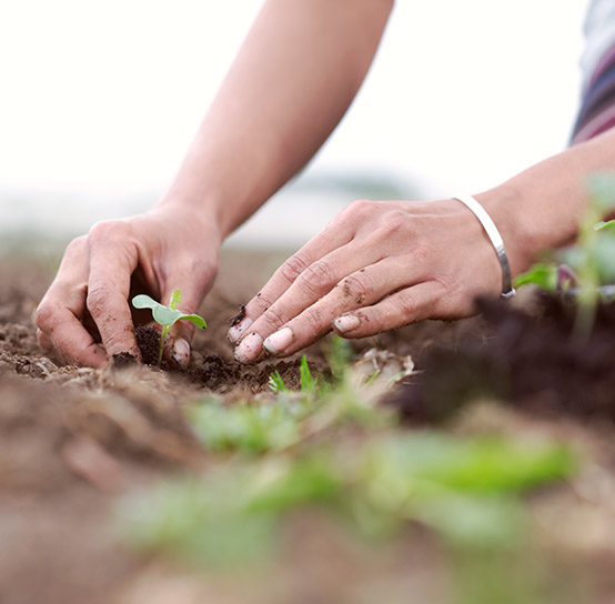 Intrapreneurship and Management for Farmer Producer Companies