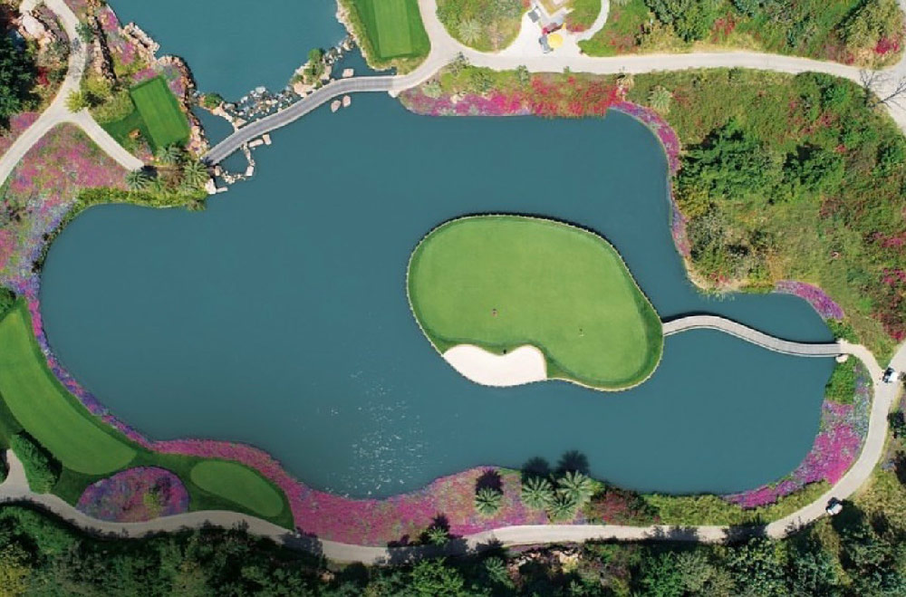 Image gallery block - DLF