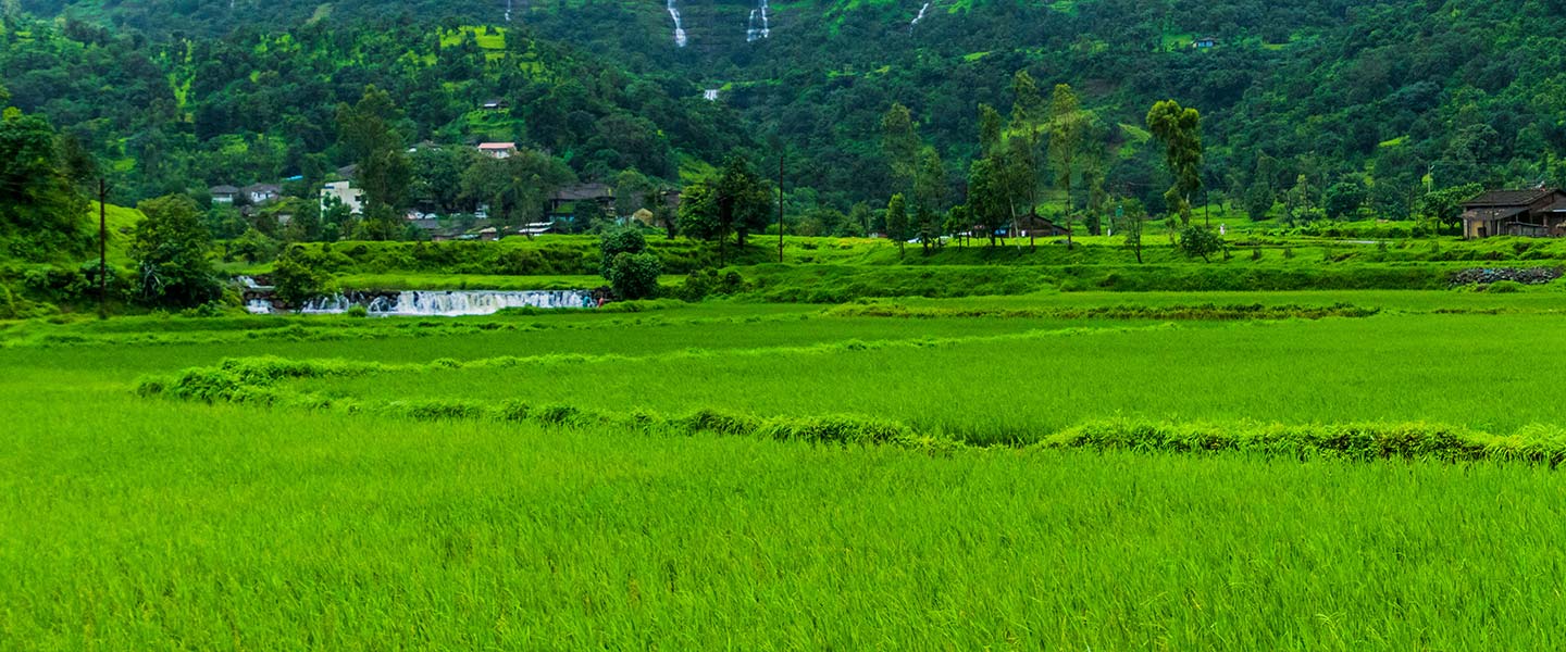 1440x600px_Hero_Banner_AdobeStock_388186177.jpg