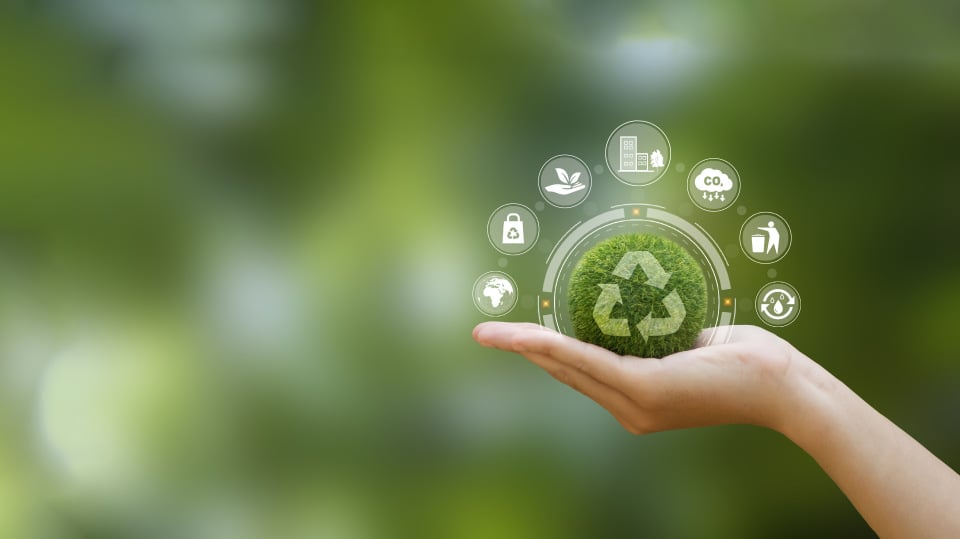 Energy & Renewables