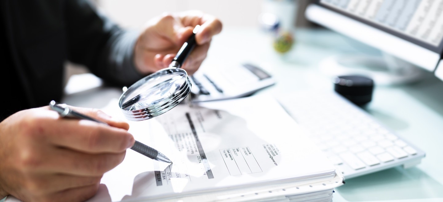 InsightGuard: Unveiling tax fraud vulnerabilities