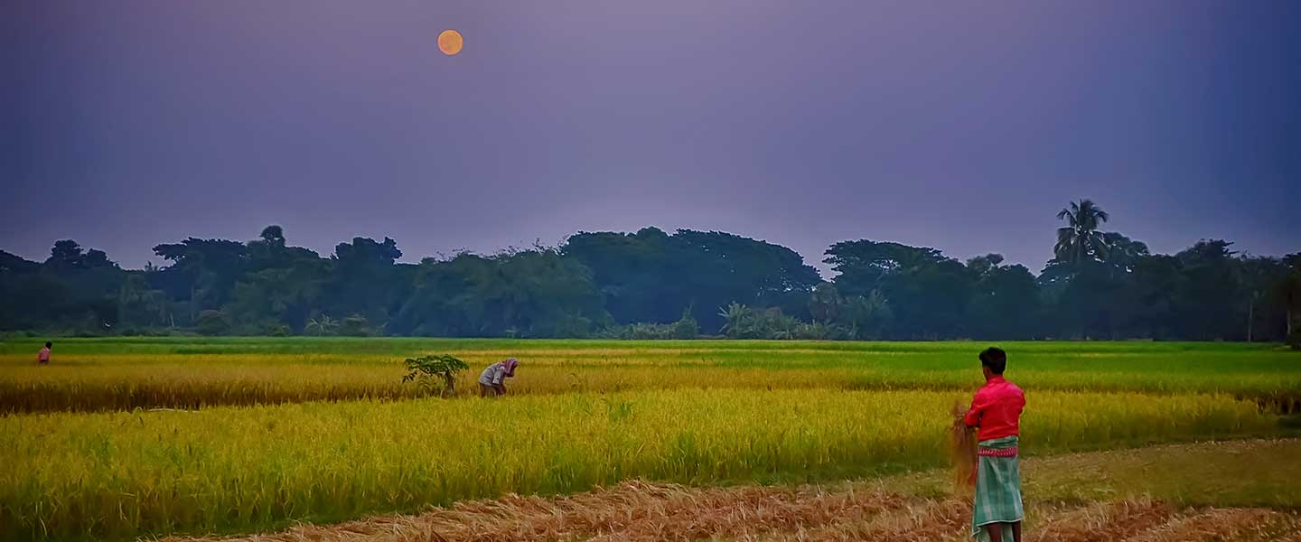 Energising Infant Farmer  Producer Organisation